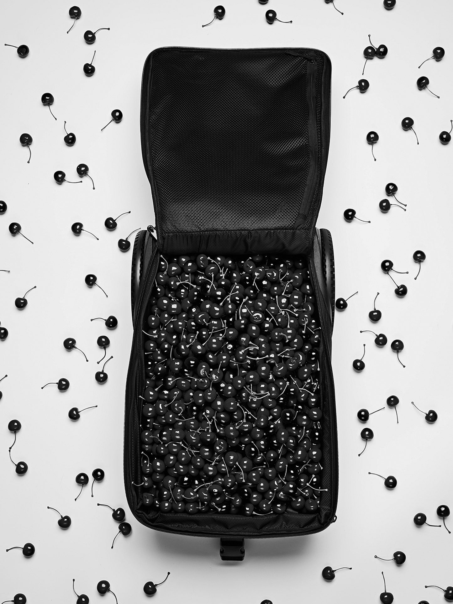 A black and white image looking down on an open luggage bag filled with cherries. 